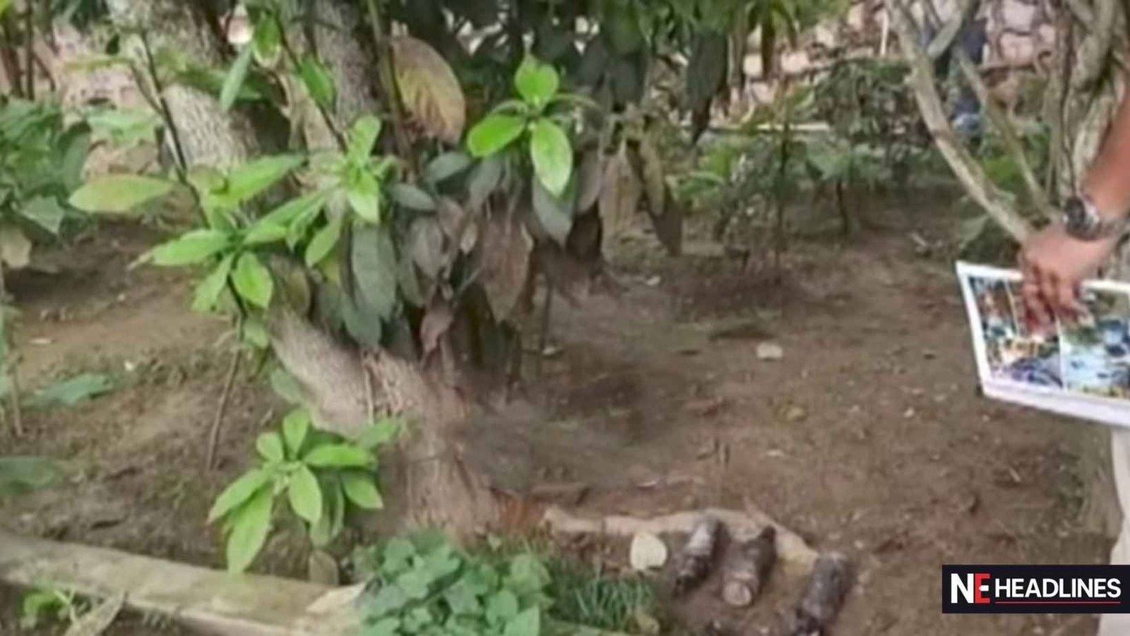 Petrol Bomb Attack Raton Engti House Assam Diphu