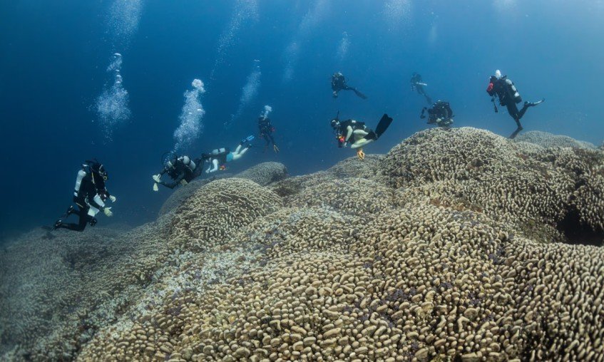 Lakshadweep’s Kadmat Island May Be World Largest Coral